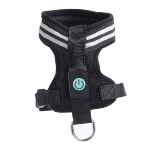 LED Dog Harness – Keep Your Pet Safe & Visible Day & Night