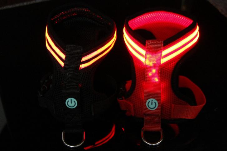Night Safety Pack – LED Collar + LED Harness + LED Leash