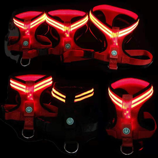 LED Dog Harness – Keep Your Pet Safe & Visible Day & Night