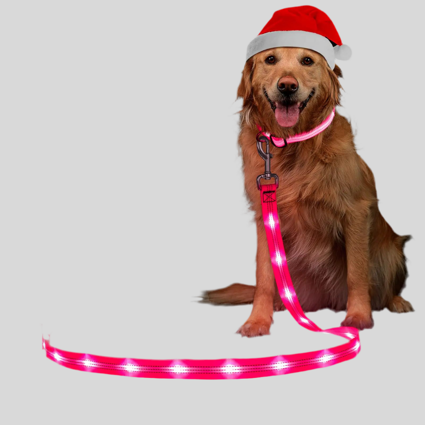 Night Safety Pack – LED Collar + LED Harness + LED Leash