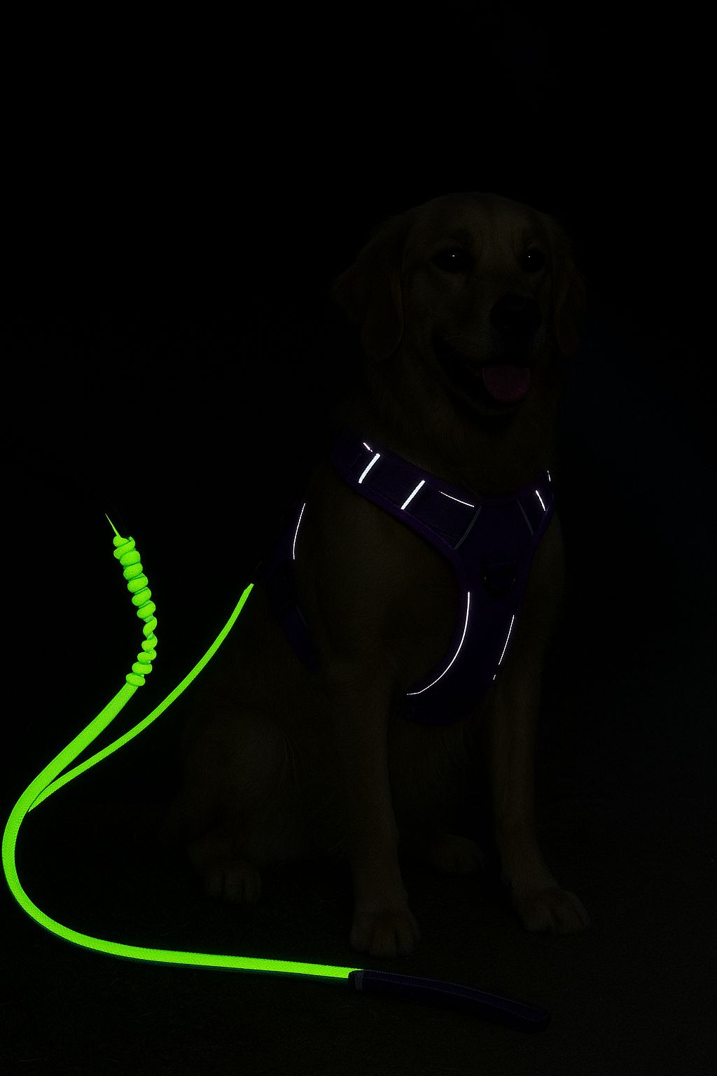 No-Pull Reflective Dog Harness with Leash β XL Size for Large Dogs
