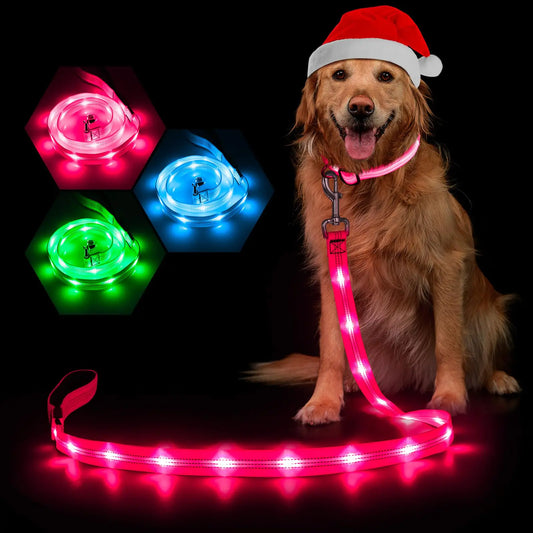 LED Dog Leash – Night Safety & Style