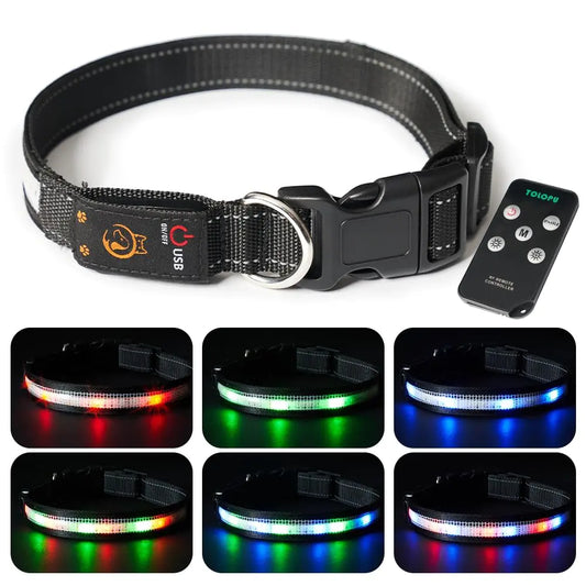 Remote-Control LED Dog Collar – Rechargeable Light-Up Safety Collar for Night Walks