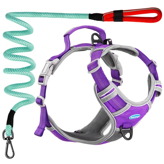 No-Pull Reflective Dog Harness with Leash – XL Size for Large Dogs